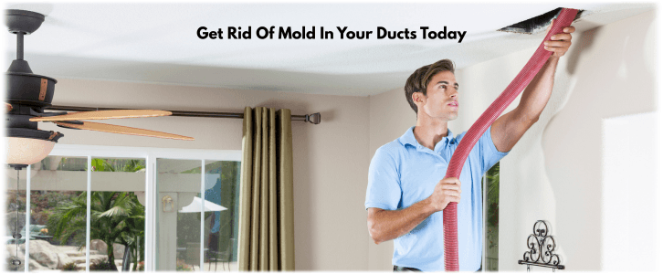 Air Duct Mold Removal in Phoenix AZ