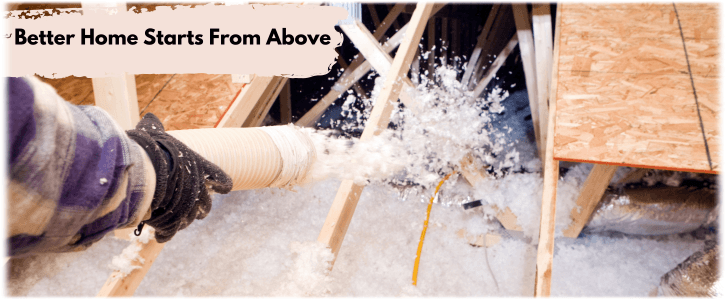 Attic Cleaning Phoenix AZ