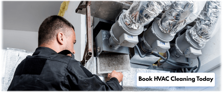 HVAC Mold Removal Phoenix AZ